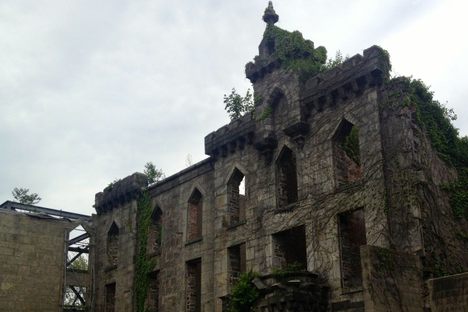 Notes From the Field: Roosevelt Island