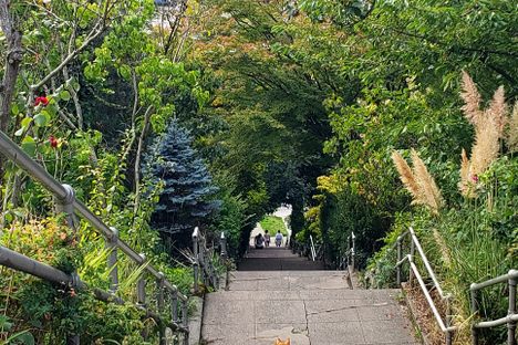 Howe Street Stairs 