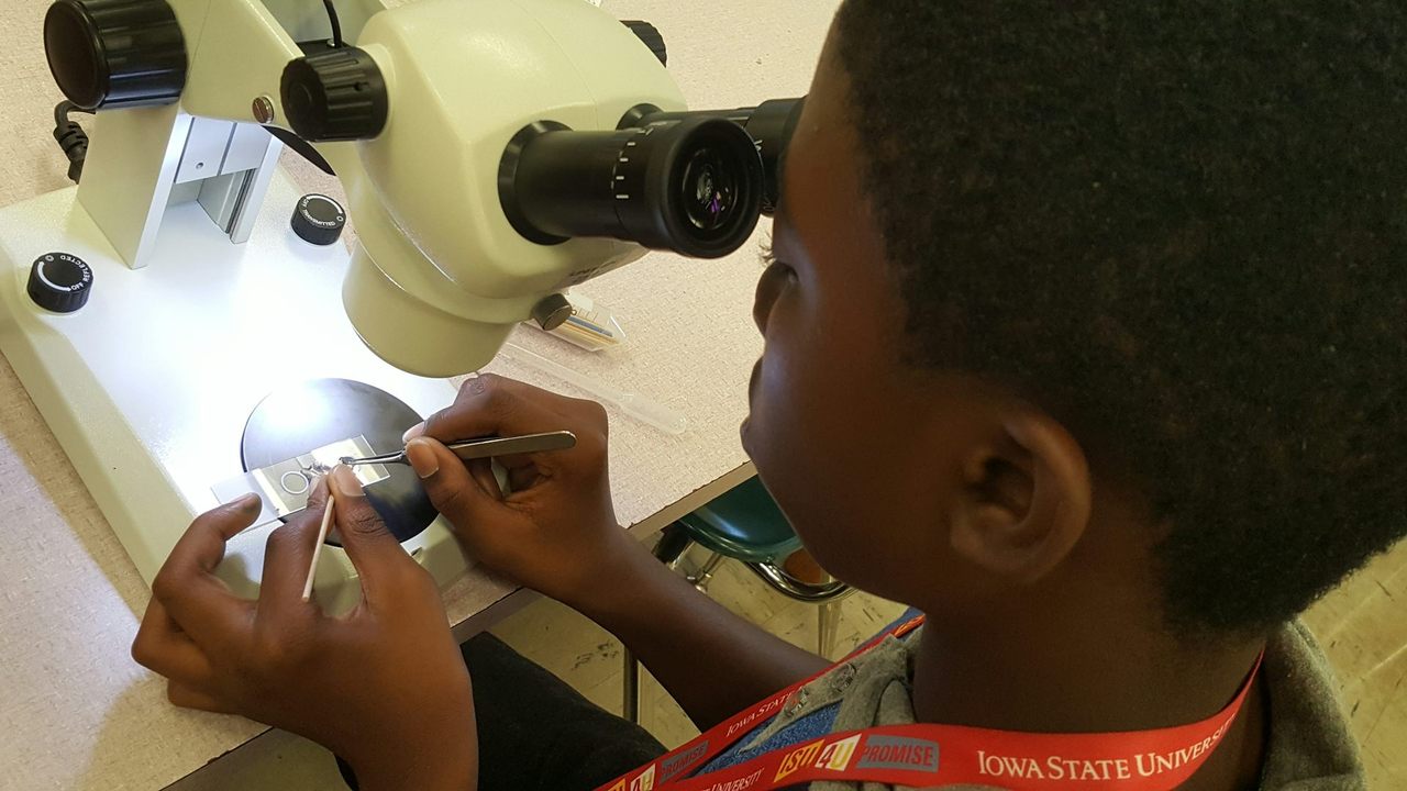 Campers at the “Mosquitoes & Me” summer camp in Des Moines, Iowa, learn about mosquito science through hands-on outdoor activities.