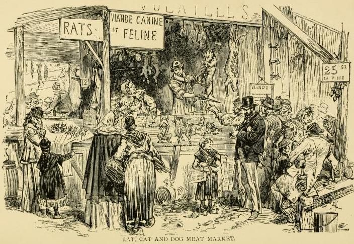 A market where rats, cats, and dogs were sold for eating.