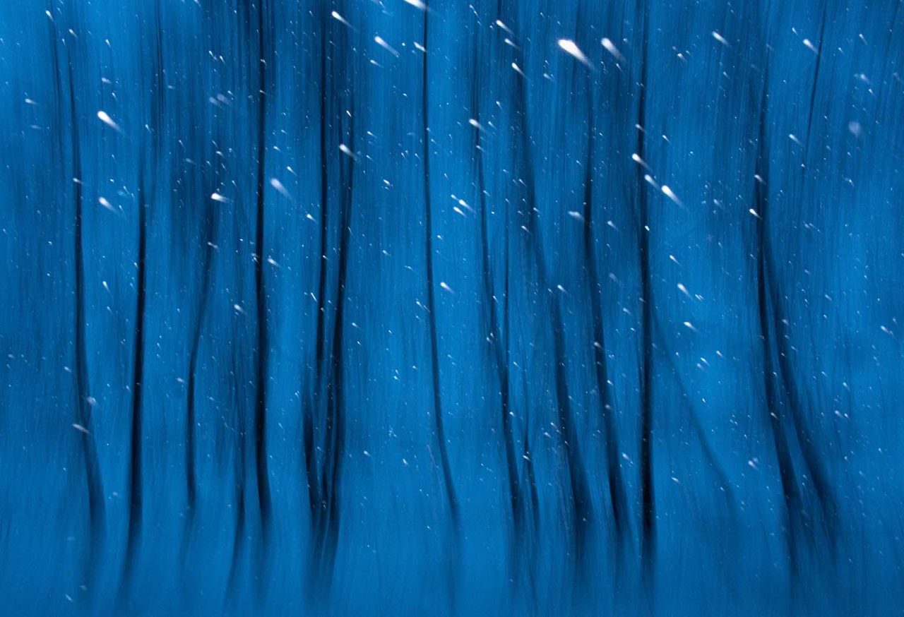 Snowflakes falling against a birch forest look magical in Russian photographer Alexey Korolyov's <em>Small Comets</em>. 