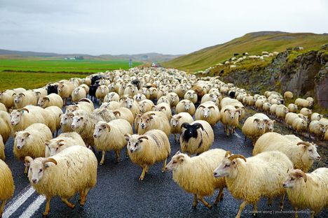 Watch the road!