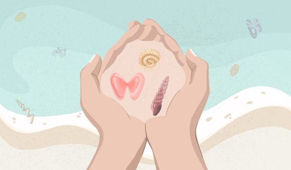 Finding Seashells - Doodlewash®