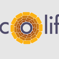 Profile image for ecolife