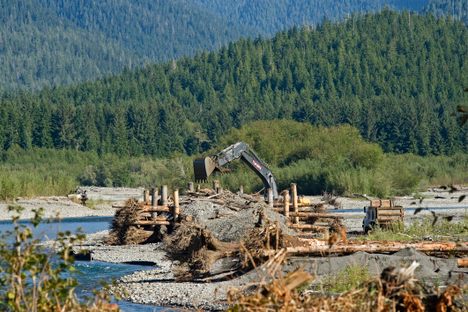 Creating an artificial log jam in 2012.