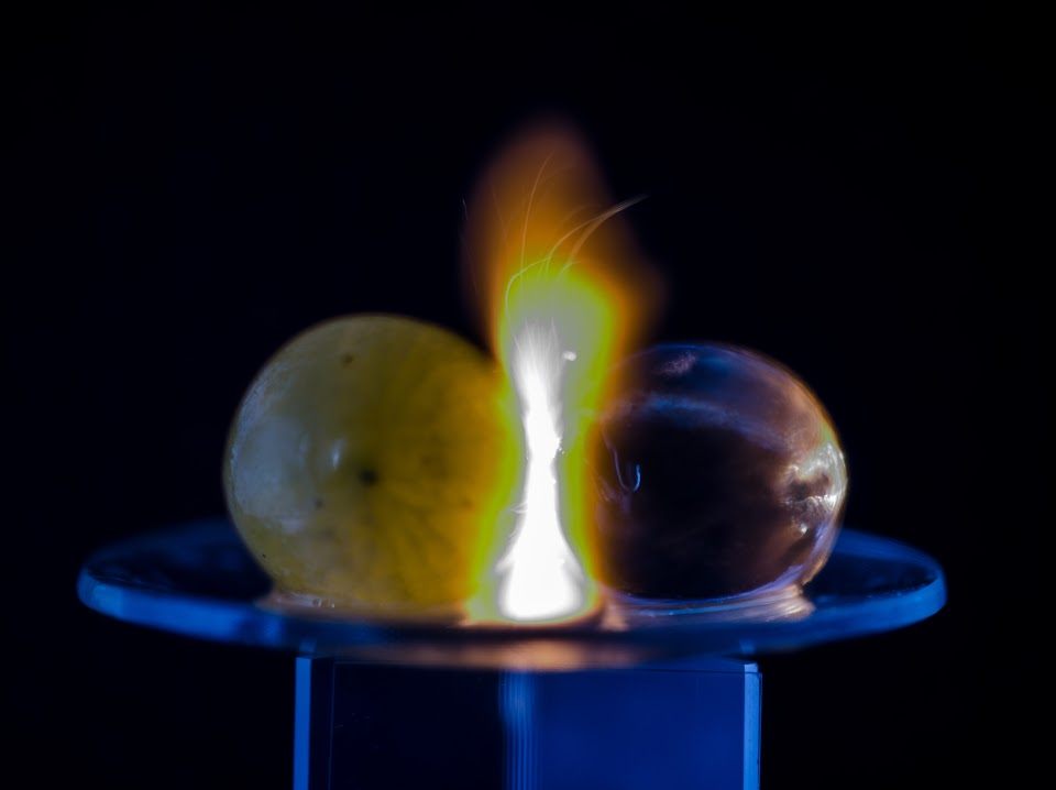 These Physicists Finally Figured Out Why Microwaved Grapes Ignite Gastro Obscura