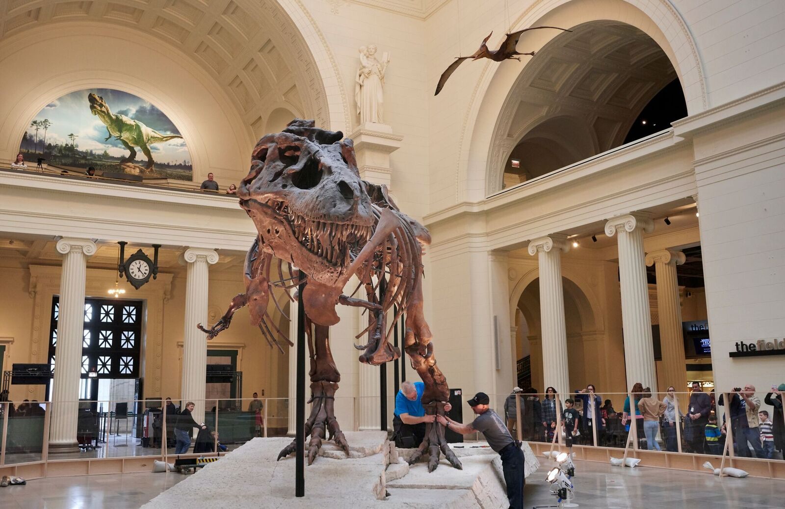 Waking the T. rex 3D: The Story of SUE - Field Museum