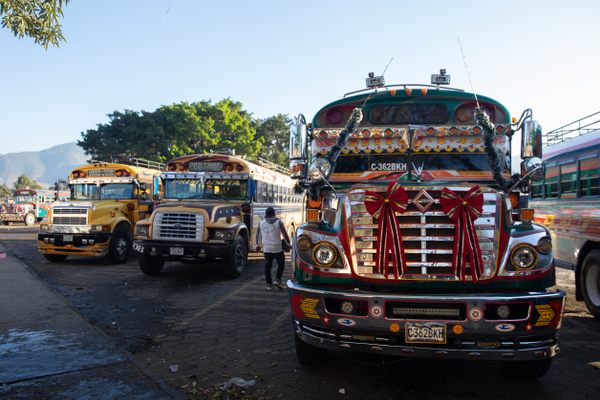 Chicken buses are old American school buses fixed up and turned into public transportation in Central America. Here, they wait for passengers in Antigua, Guatemala.
