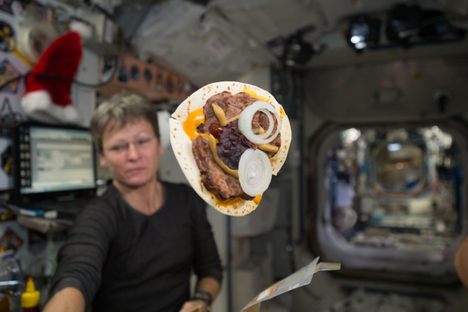 Expedition 50 flight engineer Peggy Whitson with a "space cheeseburger."