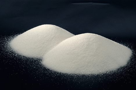Why the Science of Salt is as Polarized as Politics