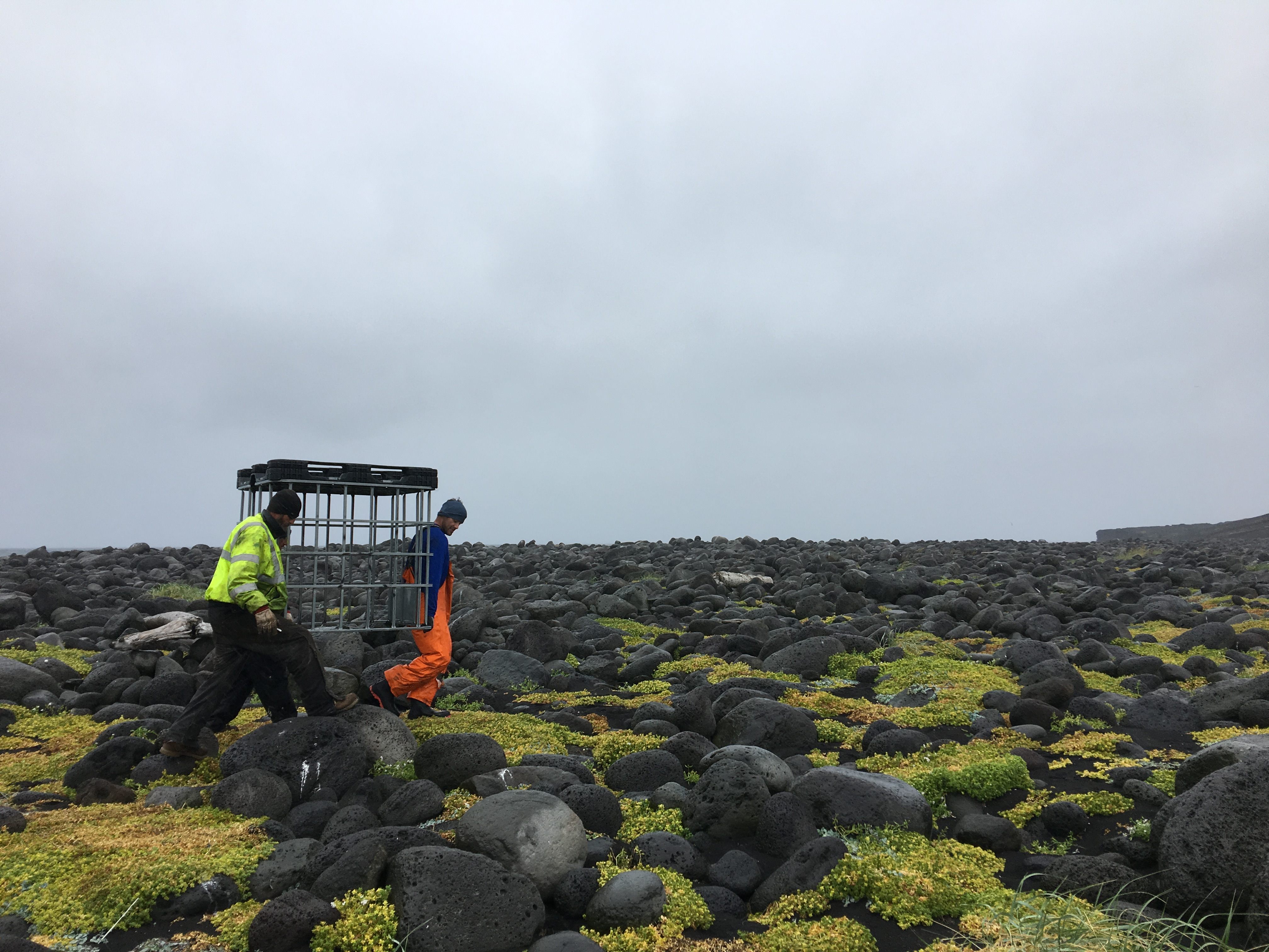 Team members carry a water tank frame along the shore. Everything on Surtsey has to be carried by hand.