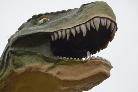 The World's Largest Dinosaur the mouth