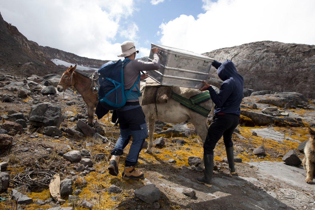 Mendoza and a guide unload scientific gear from mules.
