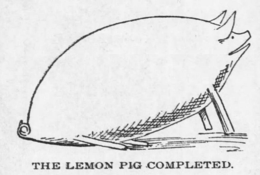 A lemon pig from 1898.