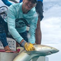 Profile image for Dr Mikki McCombKobza