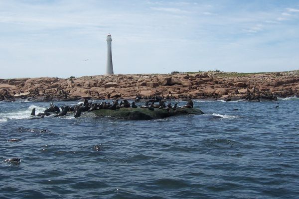 Isla de Lobos