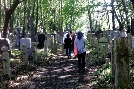 Society Adventures: A History of Neglect and 19th Century Judaism in Bayside Cemetery