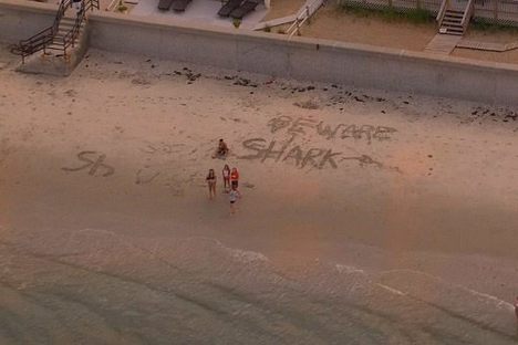 Beach-Goers Write 'Beware Shark' Into Massachusetts Beach as Warning