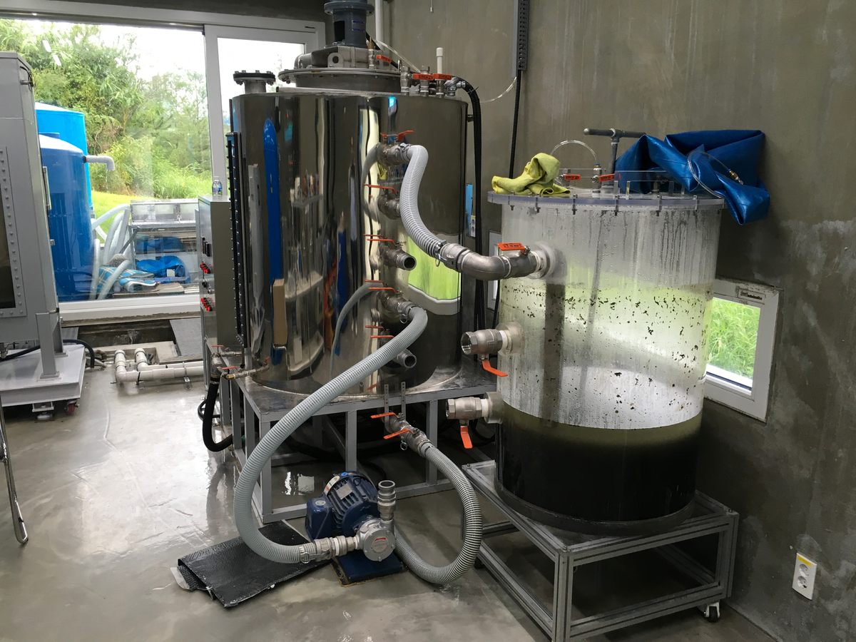 Human waste is whisked from toilet to storage tanks that feed into a digester, where microbes convert the material into biogas.