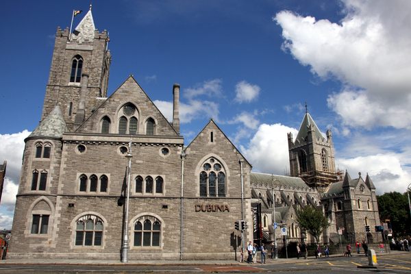Dublinia