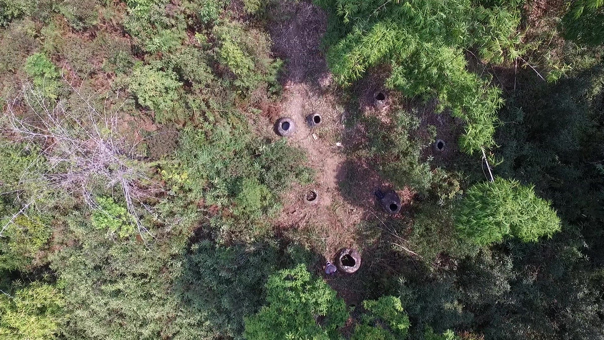 An aerial view of the newly discovered stone jars tucked away in the Lao forest.