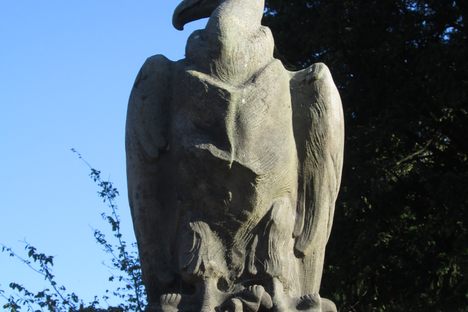 Vulture