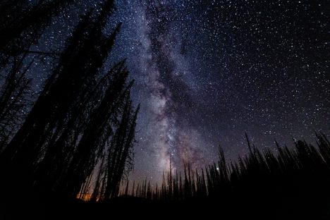 The Reserve is situated in the spectacular scenery of the Sawtooth National Recreation Area. 