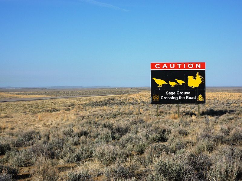 Highway 28 between Farson, WY and Seedskadee NW