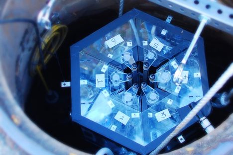 Our Sewers Speak Volumes. These Robots Are Ready to Listen