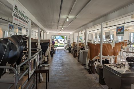 Interior of the MOOseum, chock full of exhibits.