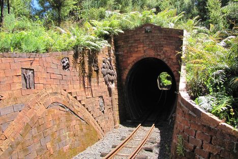 Driving Creek Railway
