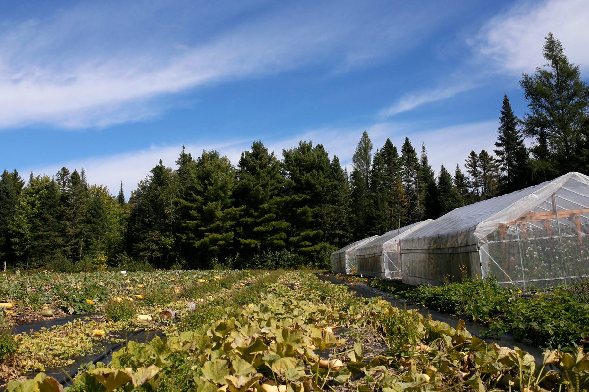 A greenhouse and garden growing fruit and vegetables at Jardins de l’Écoumène.