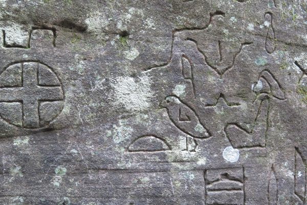 Gosford Glyphs