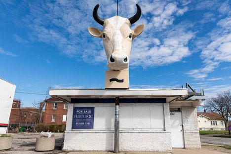 Giant Cow Head