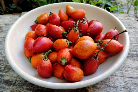 A bowl of peanut butter fruit.