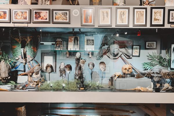 A cabinet of curiosities at the Museum of Death.