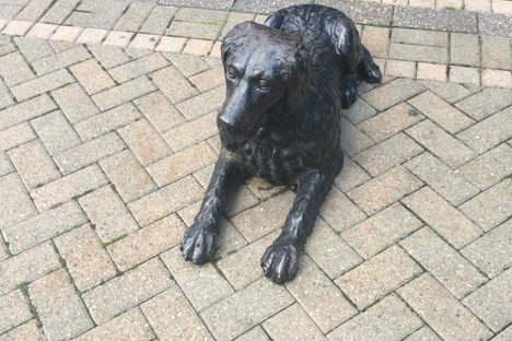 Statue of Rover