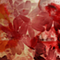 Profile image for jeffreybell