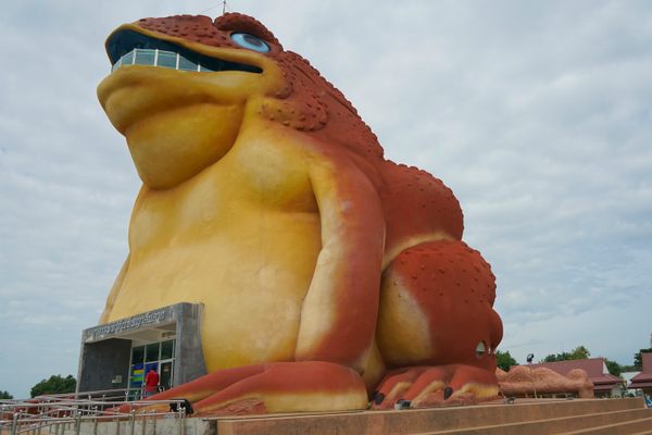 The Toad King.