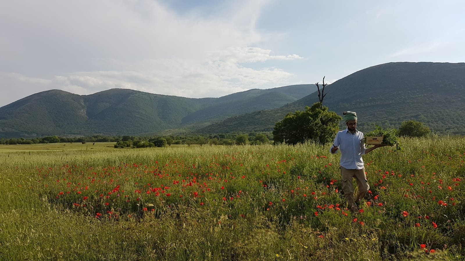 Professional ethnobotanist Alessandro Di Tizio foraging in the southern Italian region of Abruzzo.