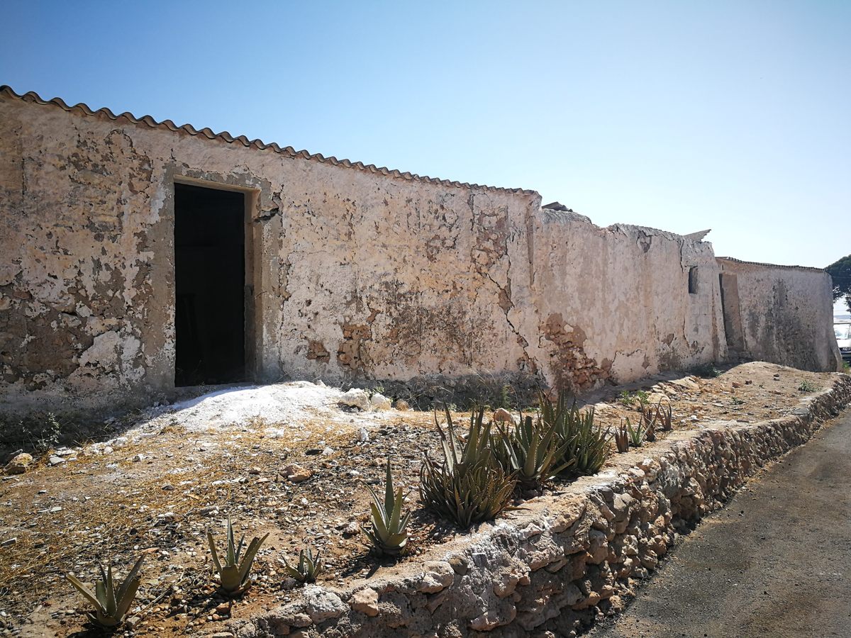 Albaricoques — photo from their website