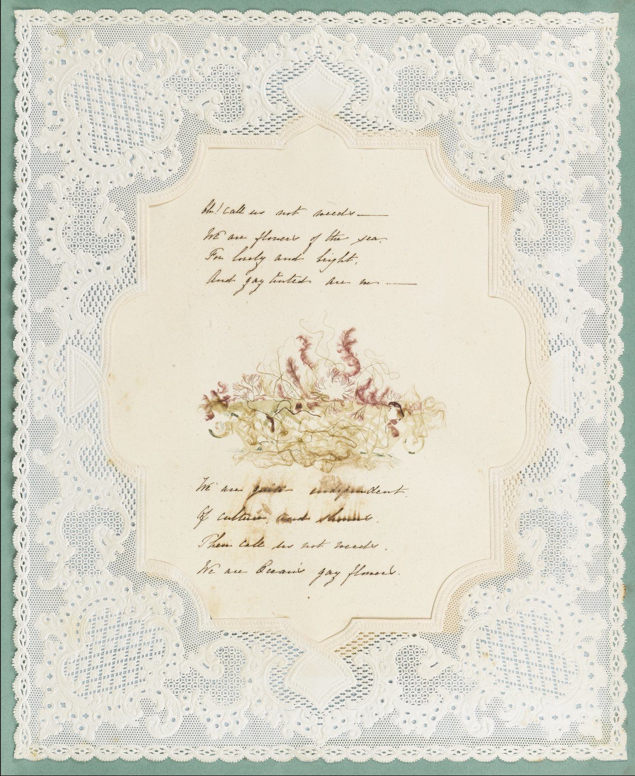 victorian seaweed scrapbook