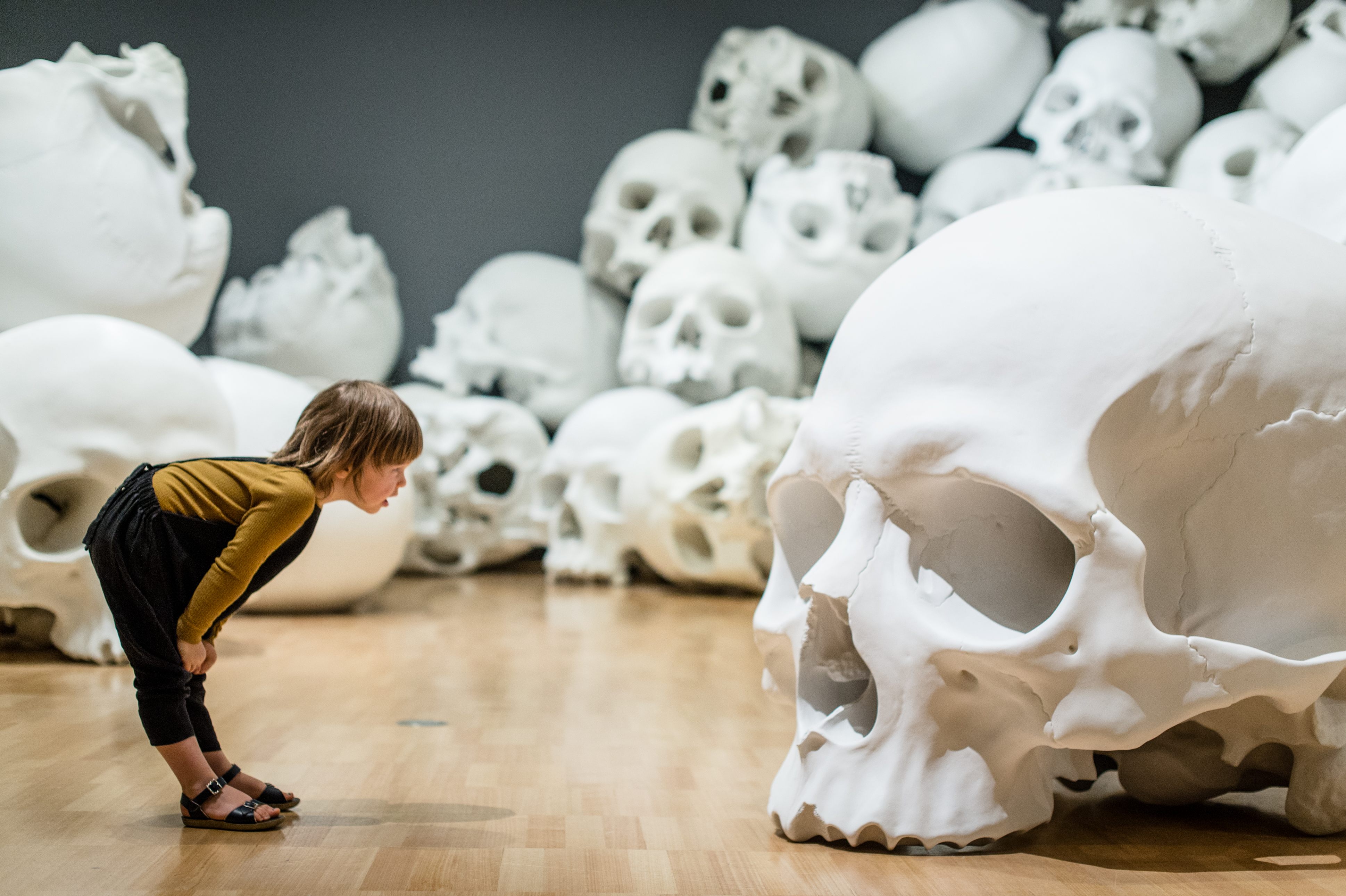 This Australian Art Museum Is Filled With Giant Skulls - Atlas Obscura