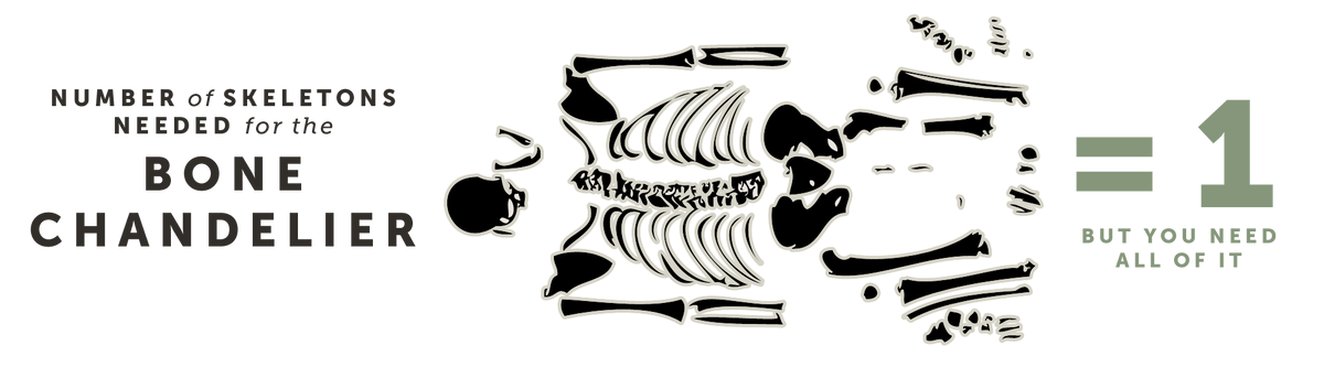 Number of Skeletons needed for the Bone Chandelier 