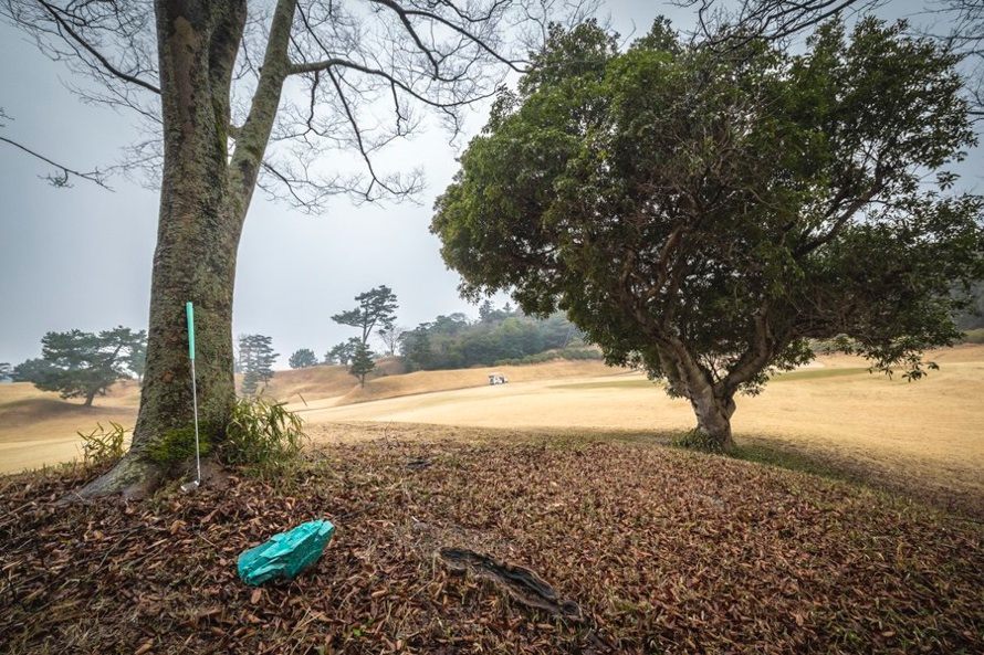 Akitoshi's moon meteorite, discovered on the UBE Industry Golf Course. 