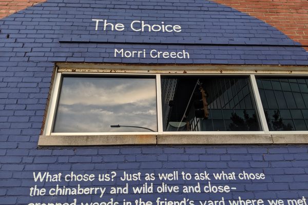 'The Choice' by Morri Creech.