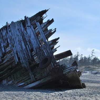 Pesuta Shipwreck