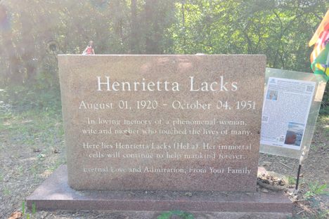 Grave of Henrietta Lacks