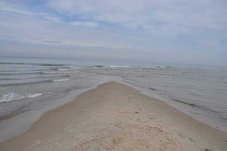Grenen