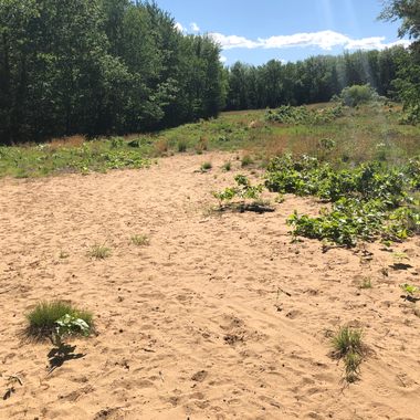 Ancient sand dunes from Glacial Lake Hitchcock.